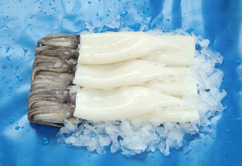 Frozen Squid Tube&Tentacle